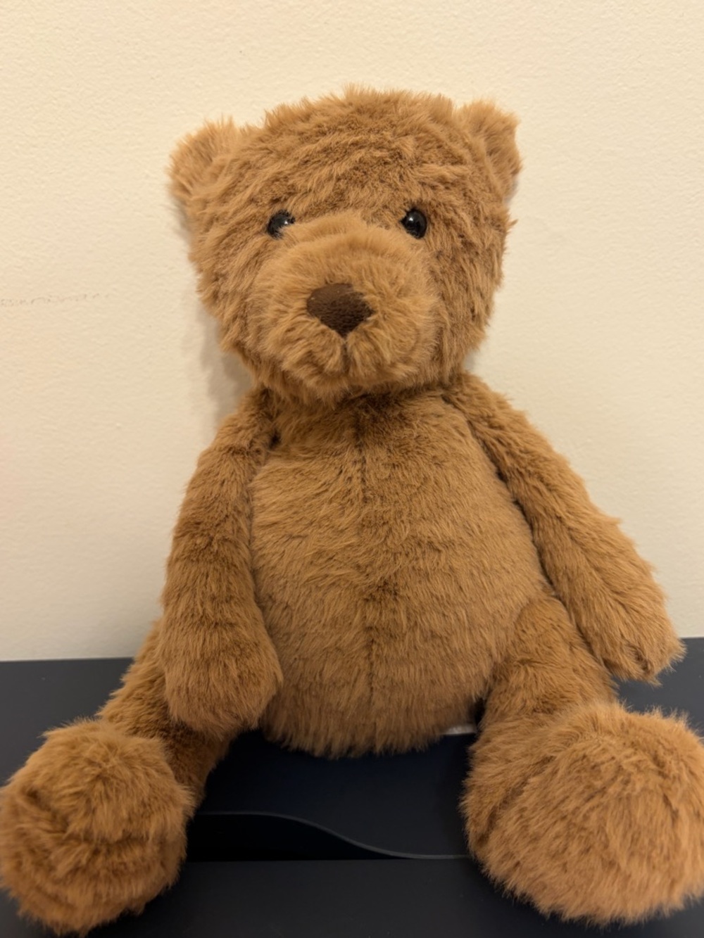 BNWOT Jellycat Cocoa Bear